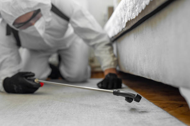 Professional Termite Control technician working in Byrnes Mill, MO