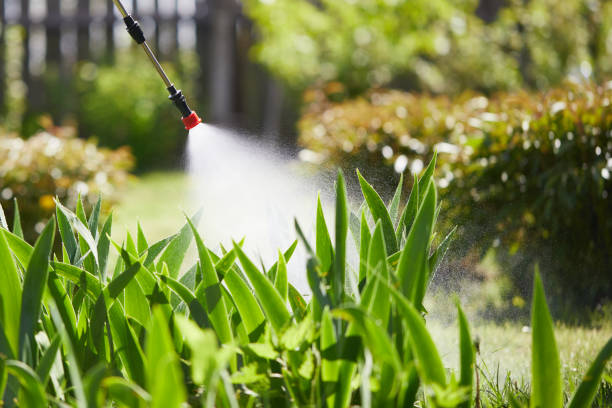24/7 Emergency Termite Control experts in Byrnes Mill, MO