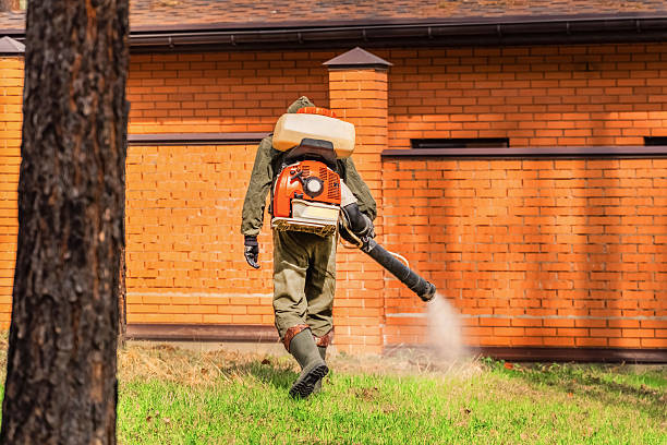Top rated local Termite Control specialists in Byrnes Mill, MO